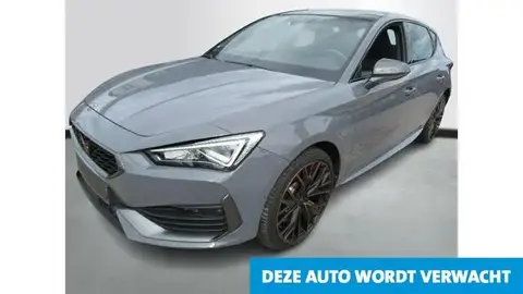 Used CUPRA LEON Hybrid 2021 Ad 