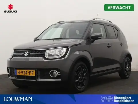 Used SUZUKI IGNIS Petrol 2020 Ad 