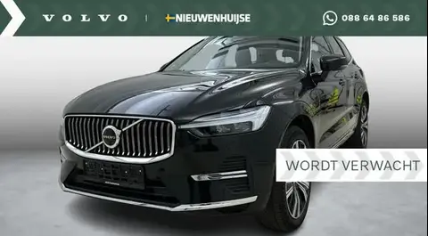 Annonce VOLVO XC60 Hybride 2023 d'occasion 