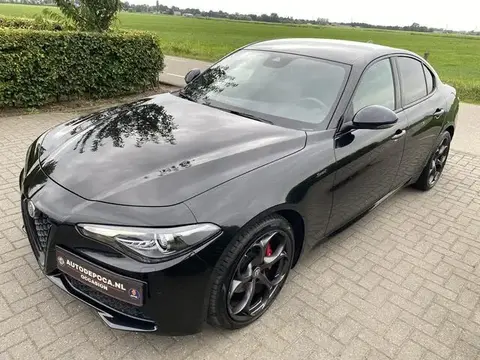 Used ALFA ROMEO GIULIA Petrol 2020 Ad 