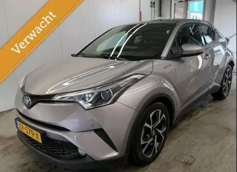 Used TOYOTA C-HR Hybrid 2019 Ad 