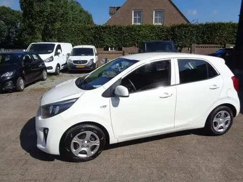 Used KIA PICANTO Petrol 2019 Ad 