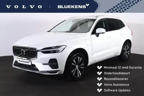 Used VOLVO XC60 Hybrid 2022 Ad 