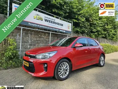 Used KIA RIO Petrol 2019 Ad 