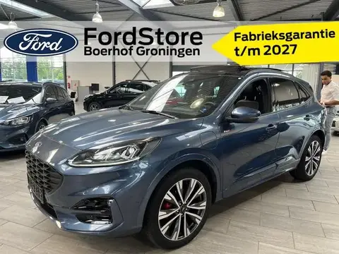 Used FORD KUGA Hybrid 2023 Ad 