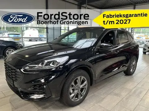 Used FORD KUGA Hybrid 2023 Ad 