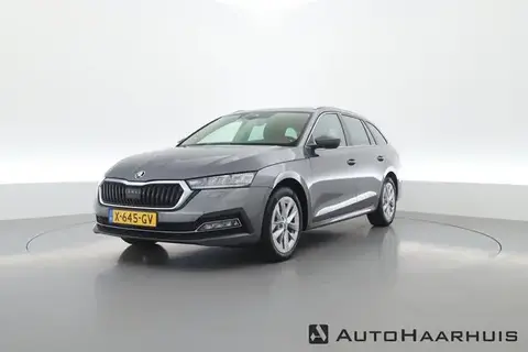 Annonce SKODA OCTAVIA Essence 2023 d'occasion 