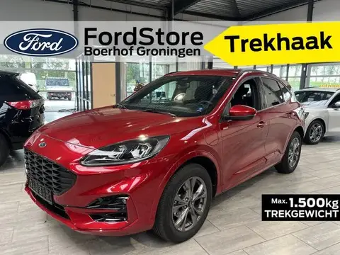 Used FORD KUGA Hybrid 2023 Ad 