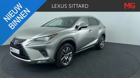 Annonce LEXUS NX Hybride 2018 d'occasion 