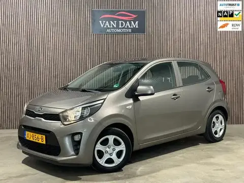 Used KIA PICANTO Petrol 2019 Ad 