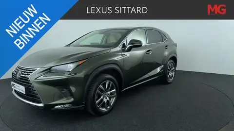 Used LEXUS NX Hybrid 2021 Ad 