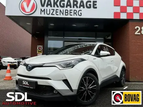 Used TOYOTA C-HR Hybrid 2019 Ad 