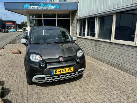 Used FIAT PANDA Petrol 2022 Ad 