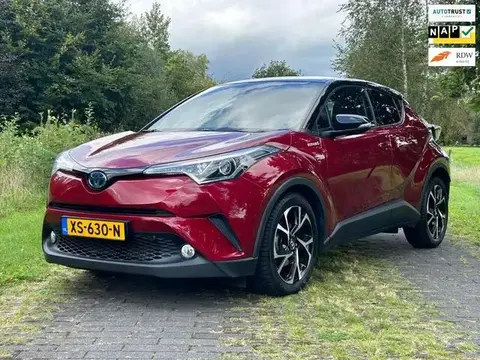 Used TOYOTA C-HR Hybrid 2019 Ad 