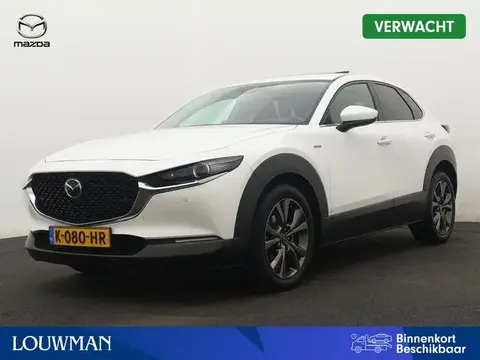 Used MAZDA CX-30 Petrol 2021 Ad 