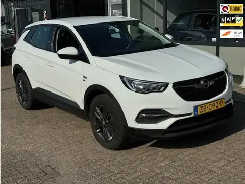 Annonce OPEL GRANDLAND Essence 2019 d'occasion 