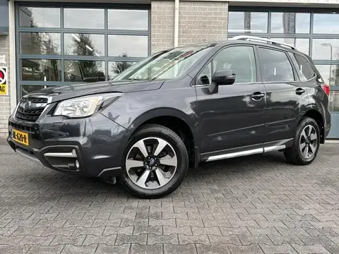 Used SUBARU FORESTER Petrol 2017 Ad 