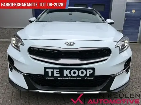 Used KIA XCEED Hybrid 2021 Ad 