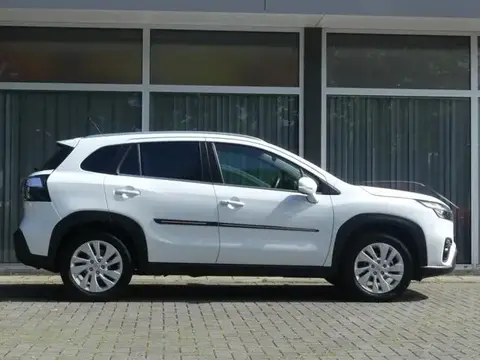 Used SUZUKI S-CROSS Hybrid 2023 Ad 