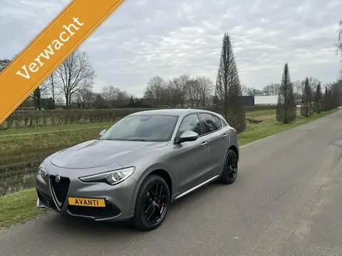 Used ALFA ROMEO STELVIO Petrol 2019 Ad 