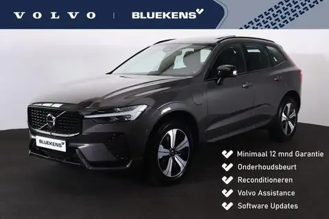 Annonce VOLVO XC60 Hybride 2024 d'occasion 