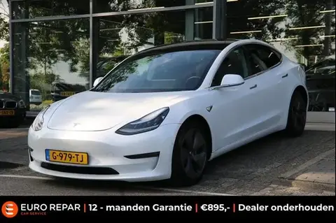 Used TESLA MODEL 3 Electric 2019 Ad 