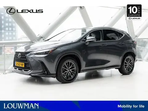 Annonce LEXUS NX Hybride 2023 d'occasion 