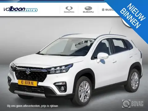 Used SUZUKI S-CROSS Hybrid 2022 Ad 