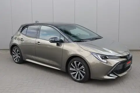 Used TOYOTA COROLLA Hybrid 2023 Ad 