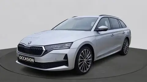 Annonce SKODA OCTAVIA Essence 2024 d'occasion 