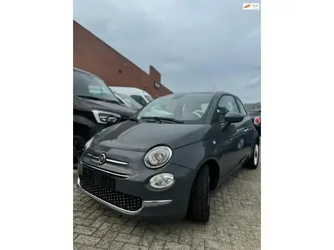 Annonce FIAT 500 Essence 2021 d'occasion 