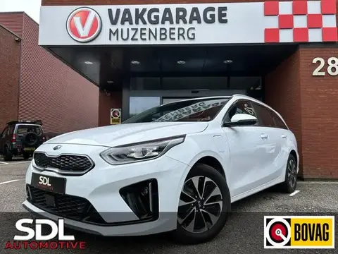 Used KIA CEED Hybrid 2021 Ad 