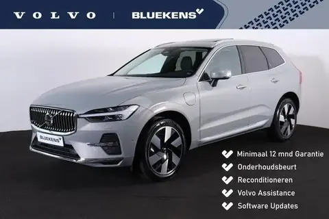 Used VOLVO XC60 Hybrid 2023 Ad 