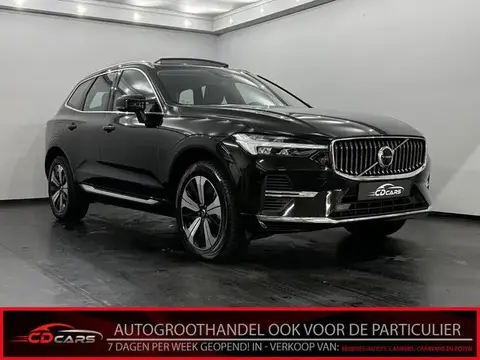 Annonce VOLVO XC60 Hybride 2023 d'occasion 