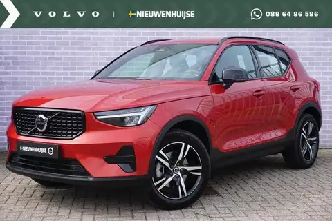 Used VOLVO XC40 Hybrid 2024 Ad 