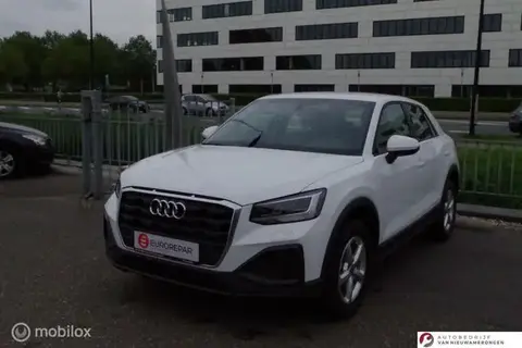 Used AUDI Q2 Petrol 2024 Ad 