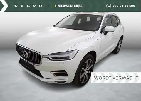 Annonce VOLVO XC60 Hybride 2019 d'occasion 