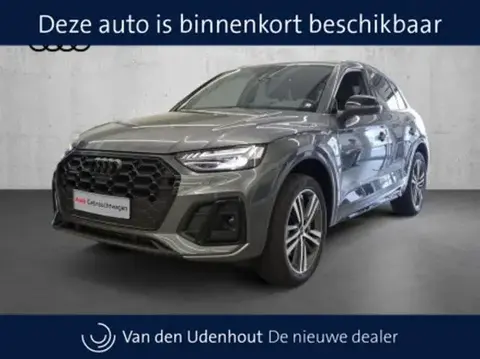 Used AUDI Q5 Hybrid 2024 Ad 