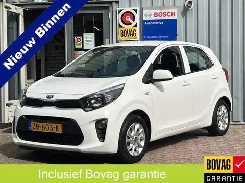 Annonce KIA PICANTO Essence 2019 d'occasion 