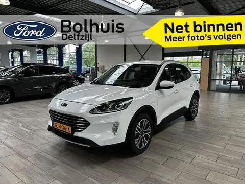 Annonce FORD KUGA Hybride 2020 d'occasion 