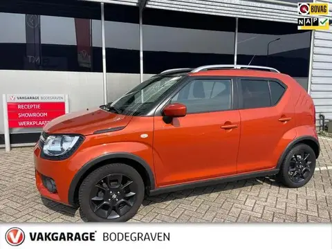 Used SUZUKI IGNIS Petrol 2018 Ad 