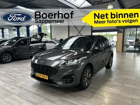 Annonce FORD KUGA Hybride 2022 d'occasion 