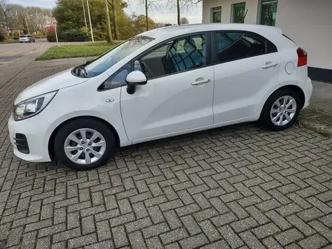 Used KIA RIO Petrol 2016 Ad 