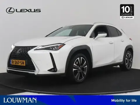 Used LEXUS UX Hybrid 2021 Ad 