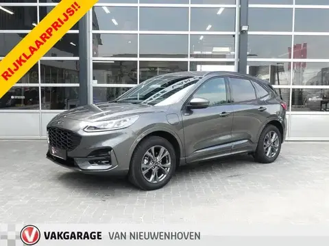 Annonce FORD KUGA Hybride 2023 d'occasion 