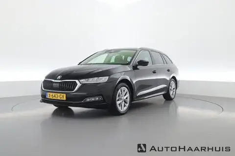 Used SKODA OCTAVIA Petrol 2023 Ad 