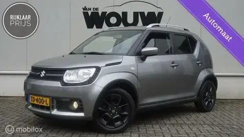 Used SUZUKI IGNIS Petrol 2018 Ad 