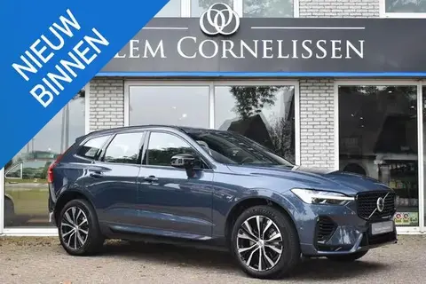 Annonce VOLVO XC60 Hybride 2024 d'occasion 