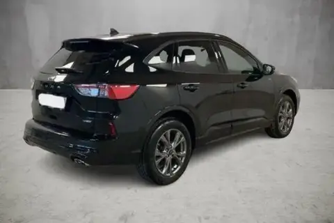 Used FORD KUGA Hybrid 2023 Ad 