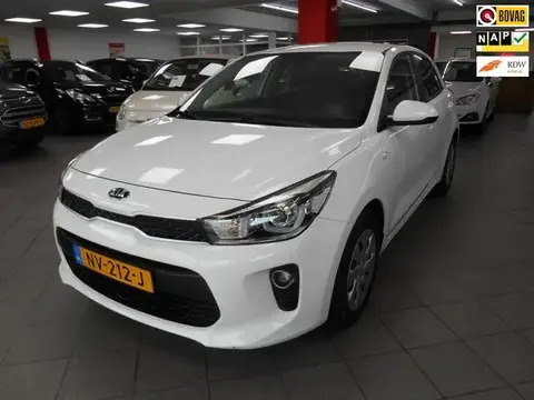 Used KIA RIO Petrol 2017 Ad 